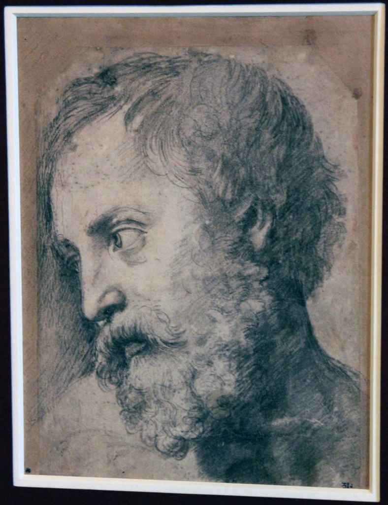 Head of an Apostle, Raphael